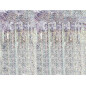 Rideau à franges - holographique