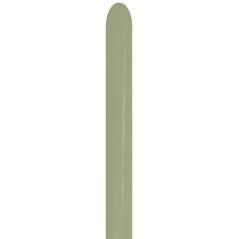 ballons-a-sculpter-260-nozzle-up-eucalyptus-sempertex-france